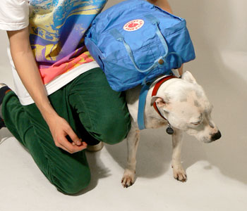 Online Shop open